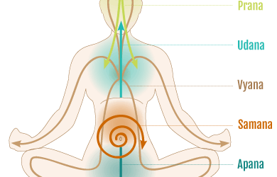 The Purpose and Power of Pranayama