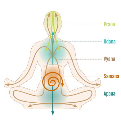 The Purpose and Power of Pranayama