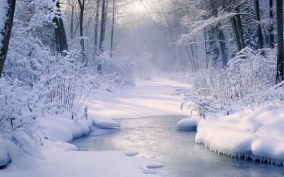 Finding Harmony with Winter’s Rhythm